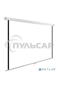 Экран Cactus 220x220см WallExpert CS-PSWE-220x220-WT 1:1 настенно-потолочный рулонный