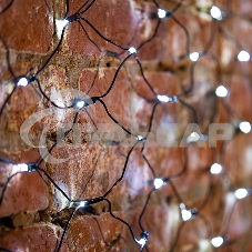 Гирлянда Neon-night 