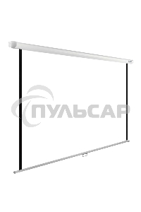 Экран Cactus 200x200см WallExpert CS-PSWE-200x200-WT 1:1 настенно-потолочный рулонный