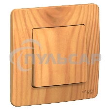 Выключатель 1-кл. СП BLANCA (сх.1) 10А 250В ясень SchE BLNVS010105