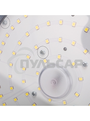 Светильник для высоких пролетов ДСП 01 100 Вт 6500 К IP65 10000 Лм черный Rexant