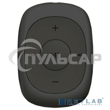 Плеер Flash Digma C2L 4Gb серый/FM/clip