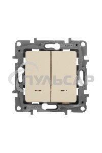 Выключатель 2-клавишный с подсветкой, на винтах, 10АХ, сл. кость