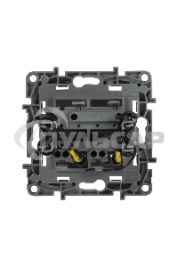 Выключатель 2-клавишный с подсветкой, на винтах, 10АХ, сл. кость