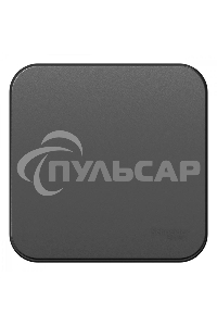 Выключатель 1-кл. ОП BLANCA (сх.1) 10А 250В изол. пласт. антрацит SchE BLNVA101016