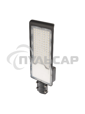 Светильник светодиодный консольный Rexant ДКУ 02-100-5000К-Ш асимметричный IP65 черный