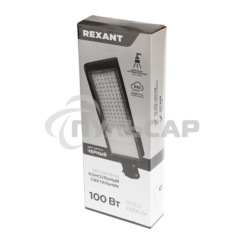 Светильник светодиодный консольный Rexant ДКУ 02-100-5000К-Ш асимметричный IP65 черный