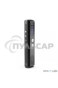 Диктофон RITMIX RR-120 4GB черный