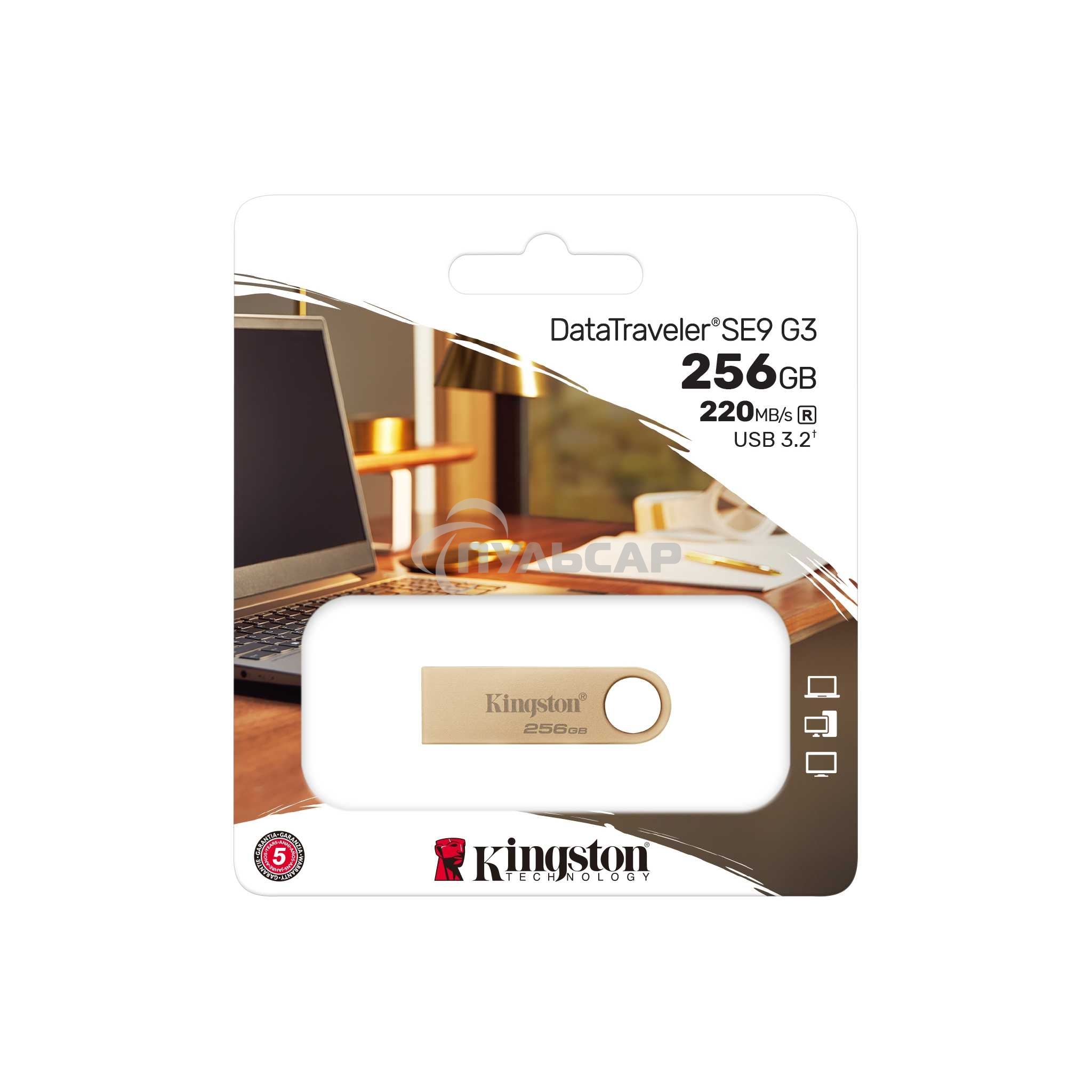 Флешка USB Kingston 256 Gb DataTraveler SE9 DTSE9G3/256 Gb USB 3.0 серебристый