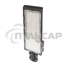 Светильник светодиодный консольный Rexant ДКУ 01-100-5000К-ШС IP65 черный