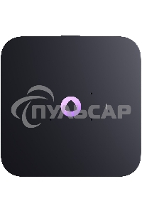 Умная колонка Яндекс Станция Миди, ZigBee, 24Вт, с голосовым ассистентом Алиса на YaGPT, оранжевый