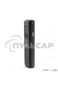 Диктофон RITMIX RR-120 4GB черный