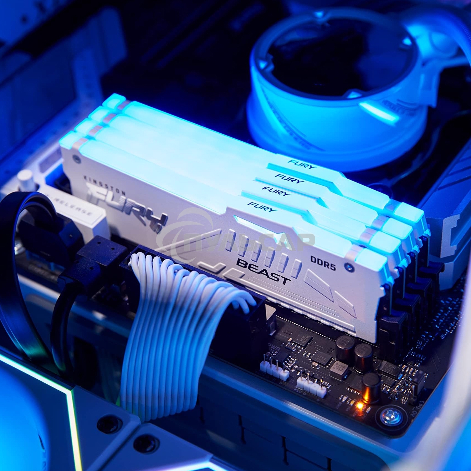 Оперативная память Kingston Fury Beast, DDR5, 16Gb (1x16Gb), 6400MHz, CL32, DIMM, радиатор, RGB, белый