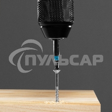 Набор бит TORX 15х50, сталь S2, 10 шт. Gross