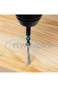 Набор бит TORX 15х50, сталь S2, 10 шт. Gross