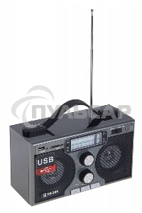 Радиоприемник портативный Сигнал БЗРП РП-306 черный USB SD