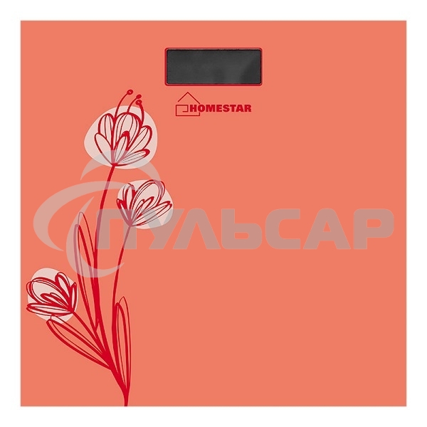 Весы напольные электронные Homestar HS-6001A