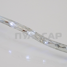 Дюралайт Neon-night LED, фиксинг (2W), 24 LED/м, белый, 25 м
