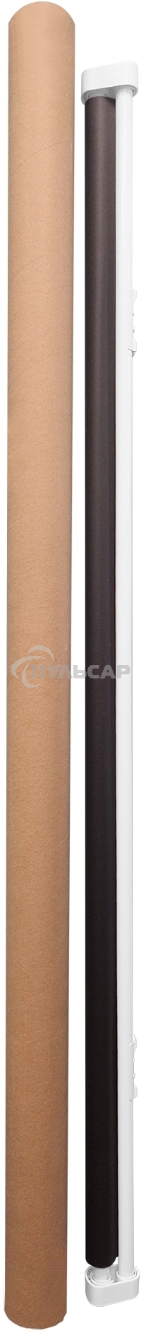 Экран Cactus 150x150см Map type CS-PSRM-150x150-WT 1:1 настенно-потолочный рулонный белый