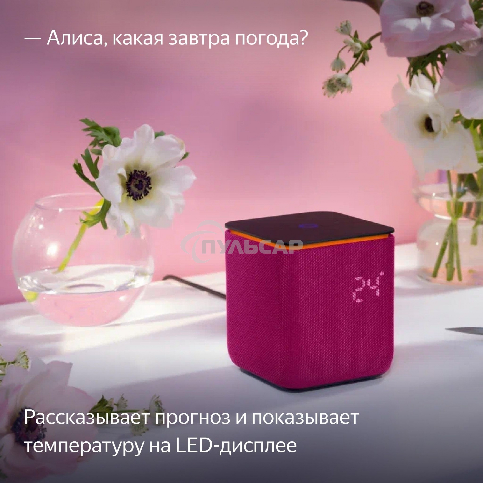 Умная колонка Яндекс Станция Миди, ZigBee, 24Вт, с голосовым ассистентом Алиса на YaGPT, малиновый