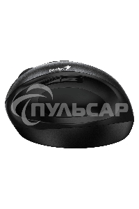 Мышь беспроводная Genius Ergo 8300S черный, 1600 dpi, радиоканал, USB, кнопки - 7