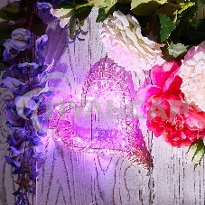 Новогодние светоукрашения Neon-night гирлянда светодиодная 