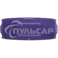 Портативная акустика JBLCHARGE6PUR пурпурный