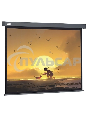 Экран Cactus 124.5x221см Wallscreen CS-PSW-124X221-SG 16:9 настенно-потолочный рулонный серый