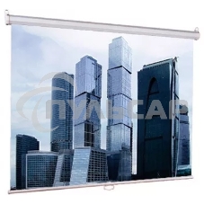 Настенный экран Lumien Eco Picture 164х240см (рабочая область 130х232 см) Matte White восьмигранный корпус, возможность потолочн./настенного крепления, уровень в комплекте, 16:9 (треугольная упаковка)