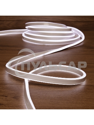 Гибкий неон Neon-night LED SMD 8х16 мм, двухсторонний, белый, 120 LED/м, 5 м