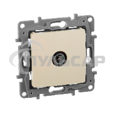 Розетка TV Звезда сл. кость ETIKA 