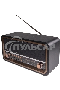 Радиоприемник портативный Сигнал БЗРП РП-336 черный/коричневый USB microSD