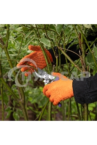 Перчатки в наборе, 5 пар, цвета в ассортименте, ПВХ точка, L, Россия Palisad