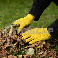Перчатки в наборе, 5 пар, цвета в ассортименте, ПВХ точка, L, Россия Palisad