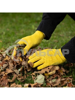 Перчатки в наборе, 5 пар, цвета в ассортименте, ПВХ точка, L, Россия Palisad