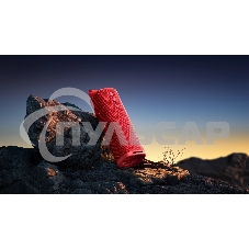 Портативная колонка Xiaomi Sound Outdoor 30Вт красный