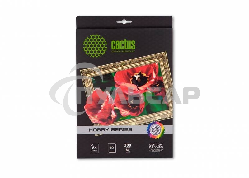 Холст Cactus CS-CA426010 A4/260г/м2/10л. для струйной печати
