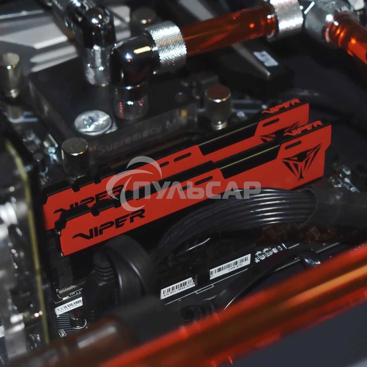 Оперативная память Patriot Viper Elite II, DDR4, 16Gb (1x16 Gb), 4000 MHz, CL20, DIMM, радиатор, красный, черный