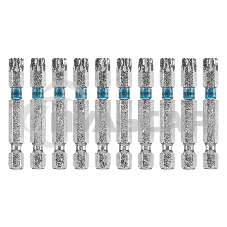 Набор бит TORX 40х50, сталь S2, 10 шт. Gross