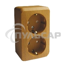 Розетка 2-м ОП Этюд Дача 16А защ. шторки с заземл. бук SchE PA16-008T