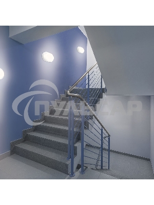 Светильник ЖКХ Gauss LITE овал 8W 680lm 4000K 200-240V IP65 160*90*46мм белый LED 1/40