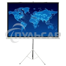 Экран Cactus 150x150см Triscreen CS-PST-150x150 1:1 напольный рулонный белый