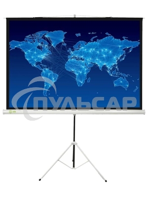 Экран Cactus 150x150см Triscreen CS-PST-150x150 1:1 напольный рулонный белый