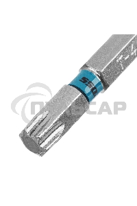 Набор бит TORX 40х50, сталь S2, 10 шт. Gross