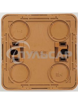 Розетка 1-м ОП Этюд Дача 16А защ. шторки с заземл. бук SchE PA16-004T