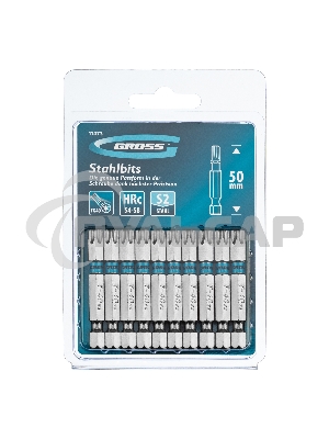 Набор бит TORX 40х50, сталь S2, 10 шт. Gross