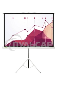 Экран Cactus 180x180см Triscreen CS-PST-180x180 1:1 напольный рулонный белый