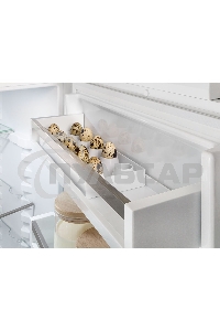 Встраиваемый холодильник Liebherr BUILT-IN ICNSE 5103-20 001
