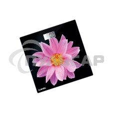 Весы напольные Centek CT-2416 Pink Flower электронные 180кг, 0,1кг, LCD 45x28, размер 26х26см