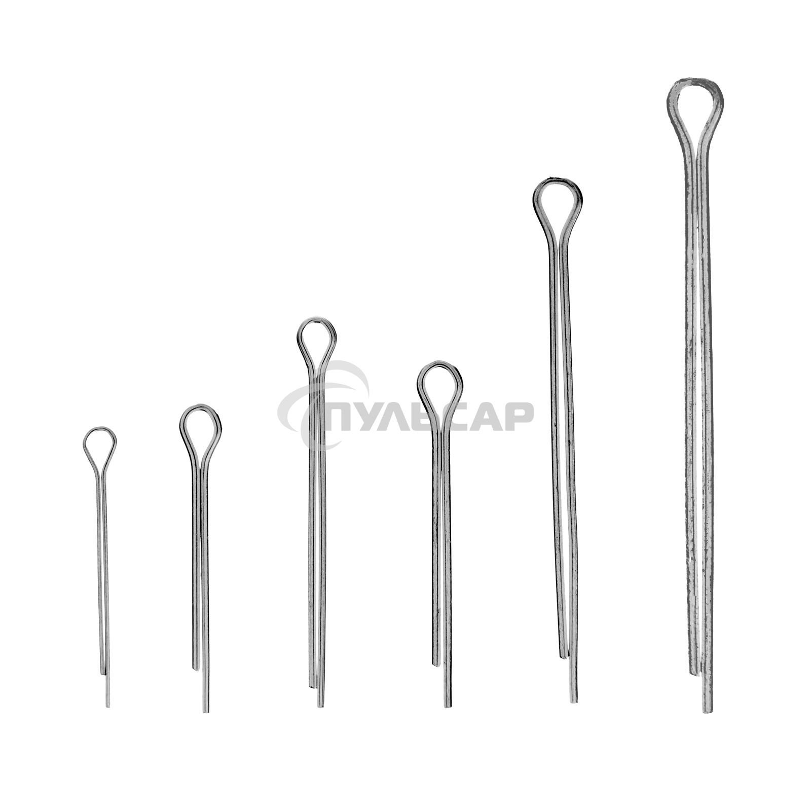 Набор шплинтов СИБРТЕХ, S головки х L: 1,6x25, 2,3x25, 2,3x38, 3,1x32, 3,1x50, 4x63 мм, 555 предм. СИБРТЕХ 47604